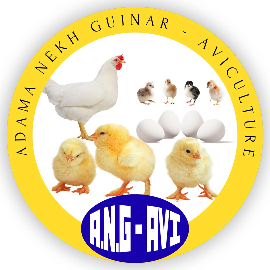Logo ANG-AVI