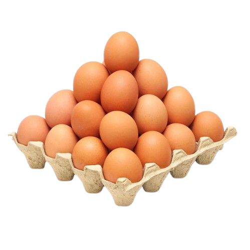 Production d'œufs